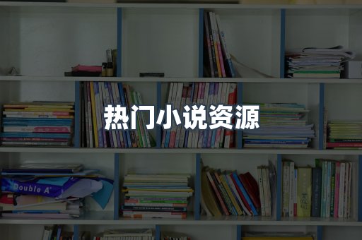 热门小说资源